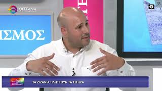 ΤΑ ΖΙΖΑΝΙΑ ΠΛΗΤΤΟΥΝ ΤΑ ΣΙΤΗΡΑ_ΓΙΩΡΓΟΣ ΚΑΡΑΝΙΚΑΣ_26 05 2026