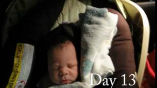 David F Kinder III - First Month (James Morrison Soundtrack - 6 Weeks)