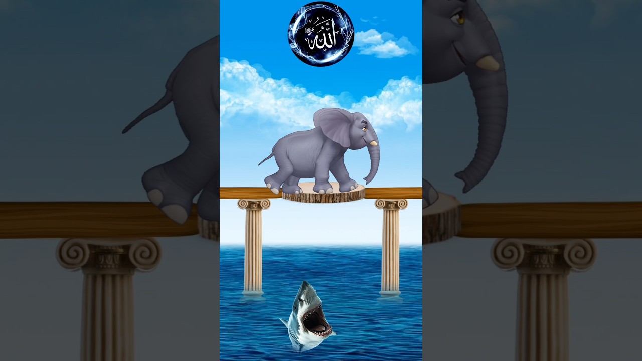 Subhana Allah Walhamdullilah #shorts