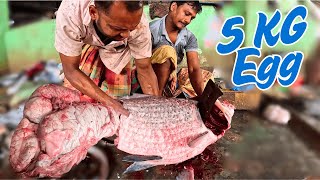Unbelievable Catla Fish Cutting (5KG Eggs of  18KG Fish) 4K Relaxing Video