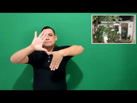 Miniatura do vídeo: Terreiro 007