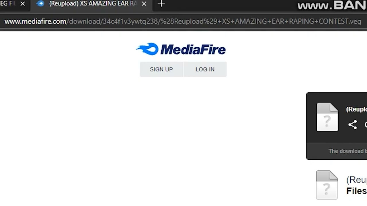How to make a THE EPICNESS OF X VIDEO and A SEIZURE WARNING VIDEO IN VEGAS PRO