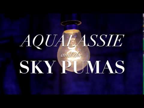 Aqualassie and the Sky Pumas - 'Swift Wing Superb' Teaser 3