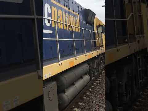 Pacific national 6MP4 on freight through Newport