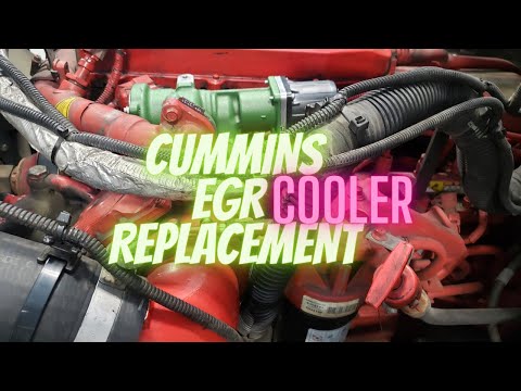 Replace EGR Cooler/ Things You Need To Know