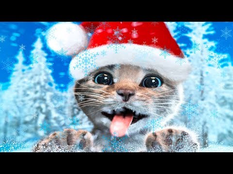 Play Fun Costume Dress-Up Party & Pet Care Kids Game - Little Kitten Adventures