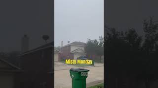 Misty Monday Morning @texas #mistymonday #pleasantmorning #mondaymotivation #mist #dallas#frisco