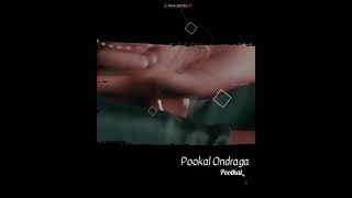 Download lagu minnal oru kodi💞enthan uyir Thedi vanthathe.. song whatsapp status tamil💞💞 mp3 Download lagu minnal oru kodi💞enthan uyir Thedi vanthathe.. song whatsapp status tamil💞💞 mp3