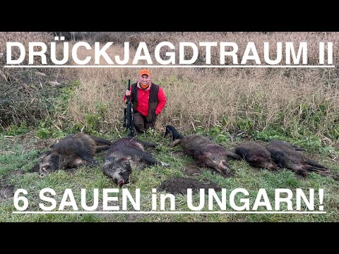 DRIVEN HUNT DREAM II - cold wind and lots of wild boars in Hungary! / DRIVEN HUNT DREAM II in HUN...