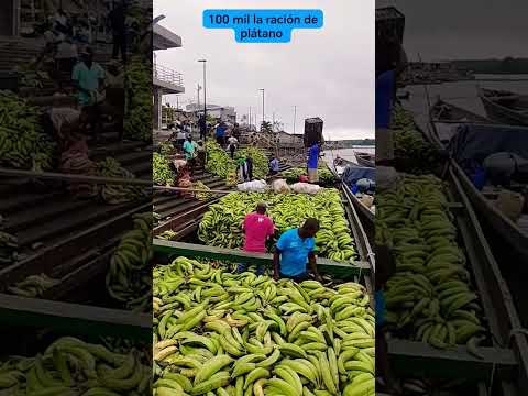 Plátano de Riosucio Chocó