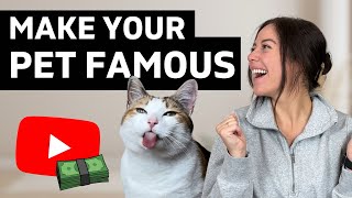 How To Make Your Pet Famous On YouTube (& make money in your sleep!)