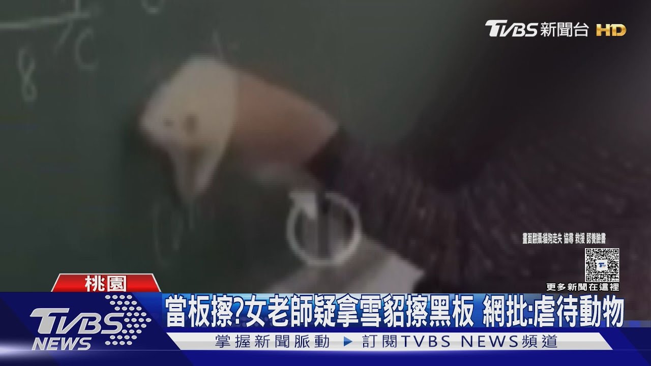當板擦?女老師疑拿雪貂擦黑板 網批:虐待動物