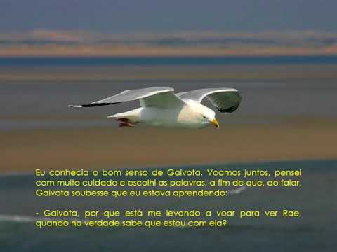 download lagu mp3 mp4 Longe Um Lugar Que No Existe, download mp3 Longe Um Lugar Que No Existe free download mp3, download mp3 Longe Um Lugar Que No Existe