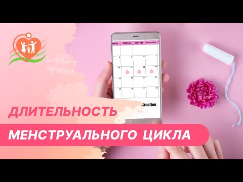 ???? С чем связан короткий или длинный менструальный цикл?