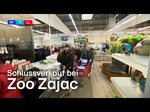 Zoo Zajac macht dicht – Riesige Schlange bei Ausverkauf in Duisburg | RTL WEST