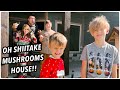 Kids Skip Last Day Of School To Go To The OH SHIITAKE MUSHROOMS HOUSE