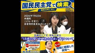 国民民主党 小林さやか 18歳の壁問題 7月23日