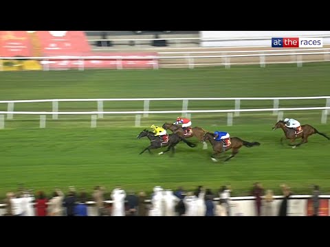 ROYAL CHAMPION wins the Bahrain International Trophy! 🇧🇭🥇