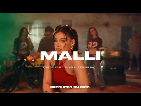 [FREE FOR PROFIT] Dhurata Dora x Dancehall x Noizy Type Beat 2024 - "Malli" | Balkan Type Beat 2024