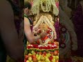 Jay Shri Ganesh Siddhivinayak Ganesh Ji Status Bhakti Shorts Ganesh Ganesha