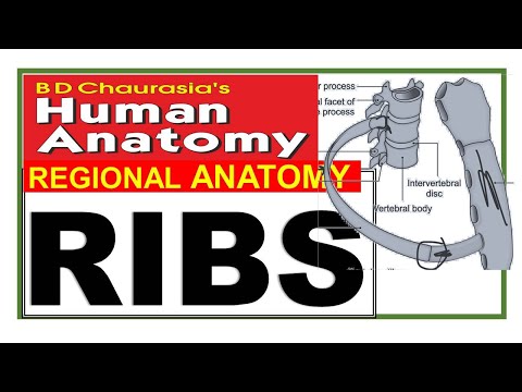 Chp 13 | RIBS | Costal Cartilages | Bones of Thorax | Chest Wall | Thoracic Cage | Dr Asif Lectures