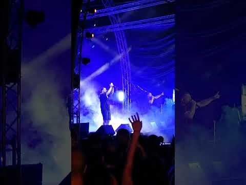 Anser - anasa varia 6/7/23