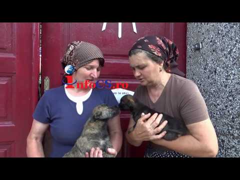 Foc 4 case Armenis     7 iul