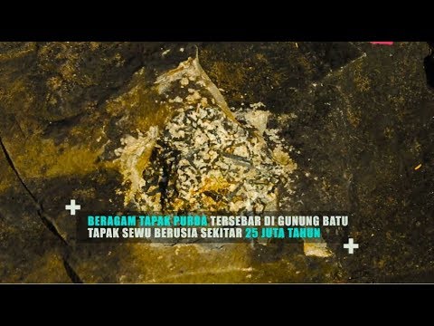 Jejak Tapak Purba yang Berusia 25 Juta Tahun di Bojonegoro Part 02 - Geopark Indonesia 27/01