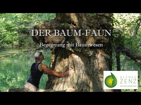 Der FAUN - Begegnung mit Baumwesen