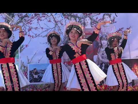 Dab Ntub Hlub - Nkauj Hmoob Seev Cev