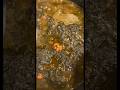 Haitian Lalo Dry Jute Leaves Foodie Foodlover