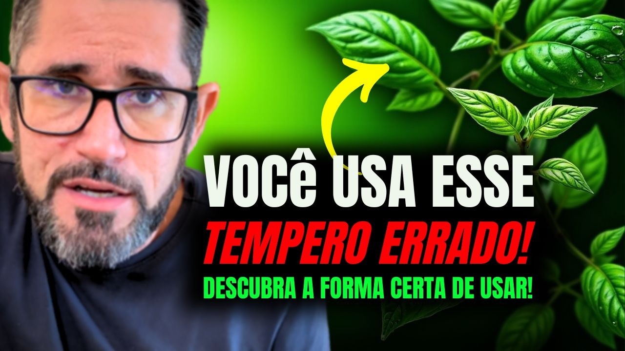 MANJERICÃO: TRATE HIPERTENSÃO E DIABETES COM ESSE TEMPERO NATURAL!