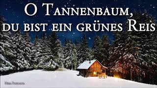 O Tannenbaum, du bist ein grünes Reis 🎄 [German Christmas Song][+Lyrics]