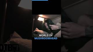 Mushroomhead shows you the bunks that they sleep in on tour! #mushroomhead #digitaltourbus #tourbus