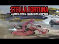 Star Citizen Stella Fortuna - Star Kitten Pulse, Razor Racing Skin & Ship Sale