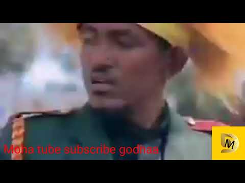 finfinee lukkaa tokko dhabuuf Oromoo tokko ta'uu Qaba.