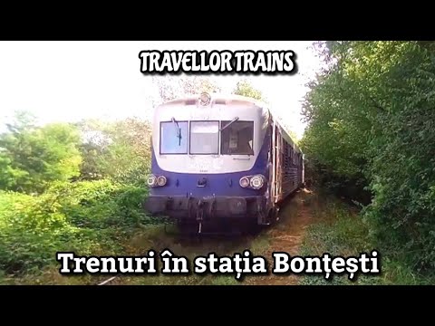 Trenuri în stația Bonțești (Linia 317: Arad - Ineu - Brad)