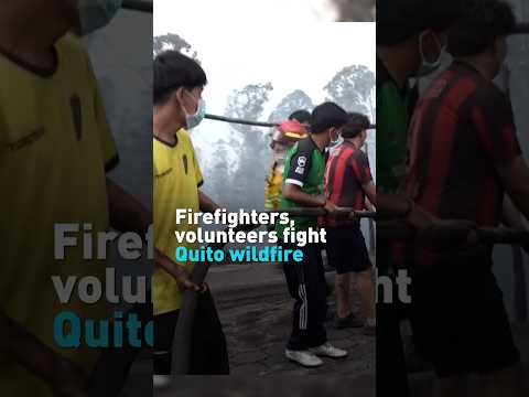 Dangerous wildfires near Quito bring firefighters, volunteers into action
