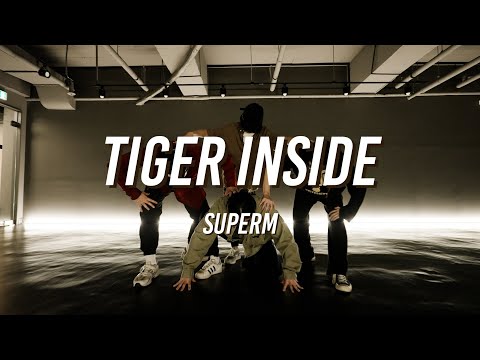 Super M - Tiger Inside / DAMI kpop coverdance