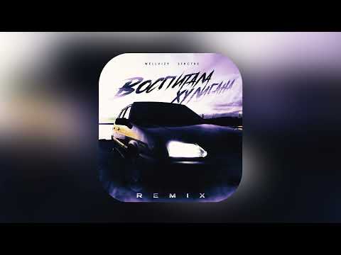 WELLVIZY,STRCTRE - Воспитала хулигана (Remix)