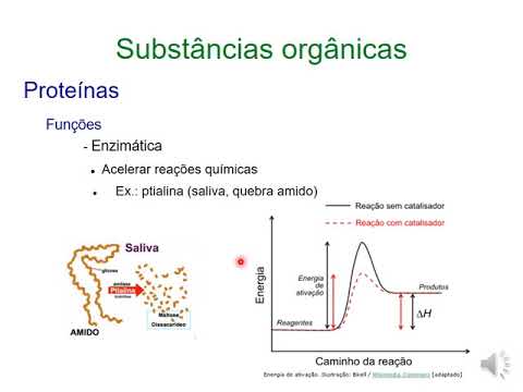 Aula 1-3   substâncias orgânicas e inorgânicas   gravação
