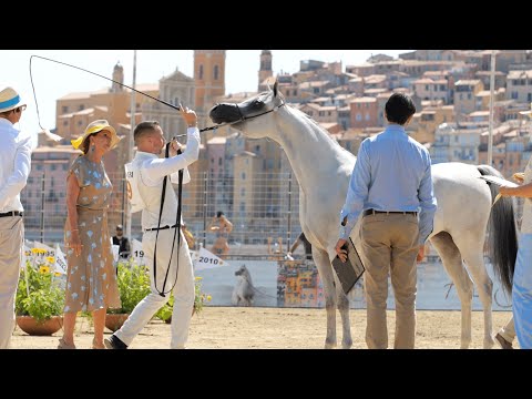 TM BELLA - Junior Fillies Championship Contender, MENTON 2023