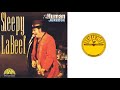 Sleepy LaBeef - Shotgun Boogie