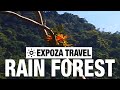 Rain Forest Vacation Travel Video Guide