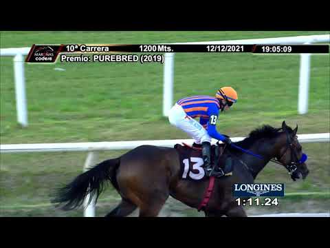 211212 c10 MARCO AURELIO