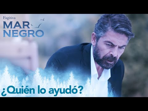 Mustafa está choqueado porque no pudo buscar a Vedat - Mar Negro Capítulo 85 | Fugitiva