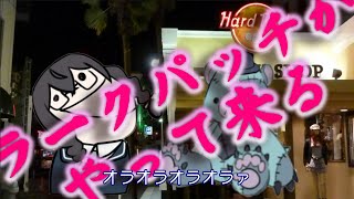 - ラークパッチがやって来る / ゲンブ、Kevin、小春六花、夏色花梨 & 花隈千冬