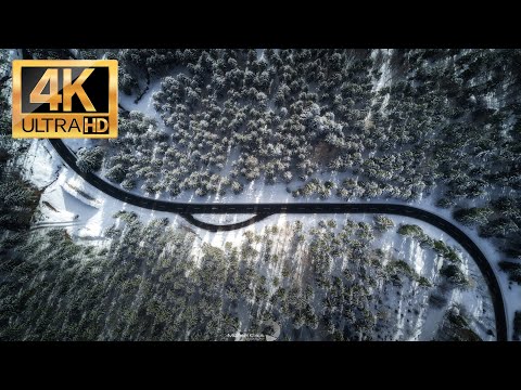 Winter in the Carpathians 2021 | Snowy Winter Scenes 4K Nature Video - Trailer 2