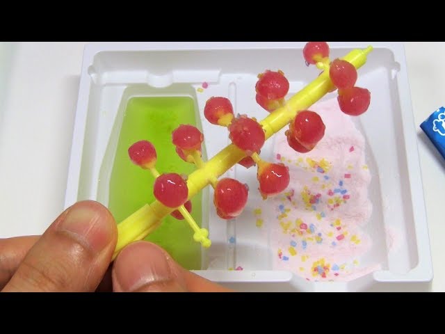 Kracie Foods Narunaru Gummy Fruit | Delish R Us