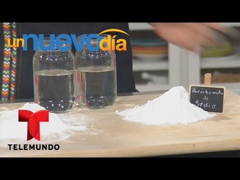 download lagu mp3 mp4 Bicarbonato De Sodio Es Lo Mismo Que Baking Soda, download lagu Bicarbonato De Sodio Es Lo Mismo Que Baking Soda gratis, unduh video klip Bicarbonato De Sodio Es Lo Mismo Que Baking Soda
